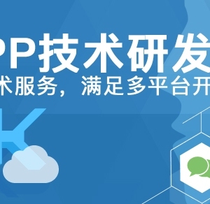 匠心筑梦，智创未来——纵览武汉纵索科技的APP开发之道