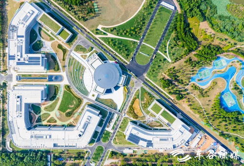 奋进逐新，武汉经开区软件产业集群发展格局初成